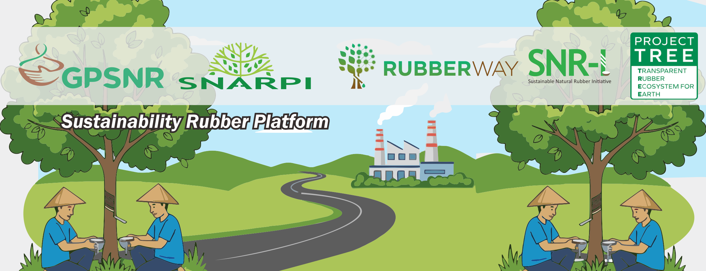 Sustainable natural rubber