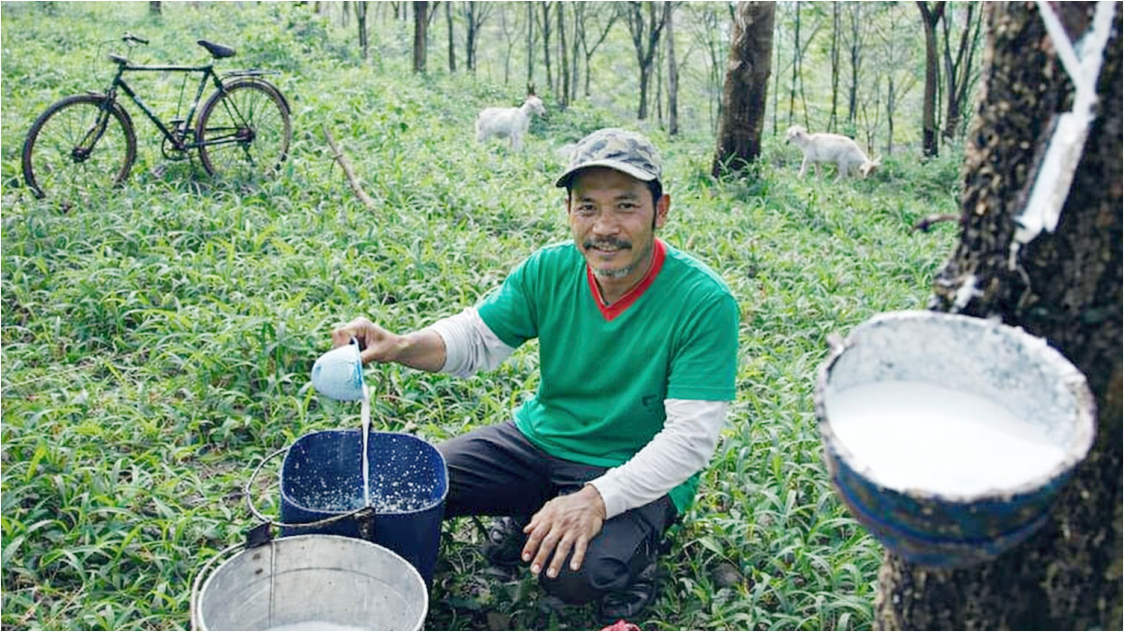 Harga Karet Alam Menguat Sepekan, Terkoreksi Tipis Pagi Ini di Tengah Sentimen Global Campuran