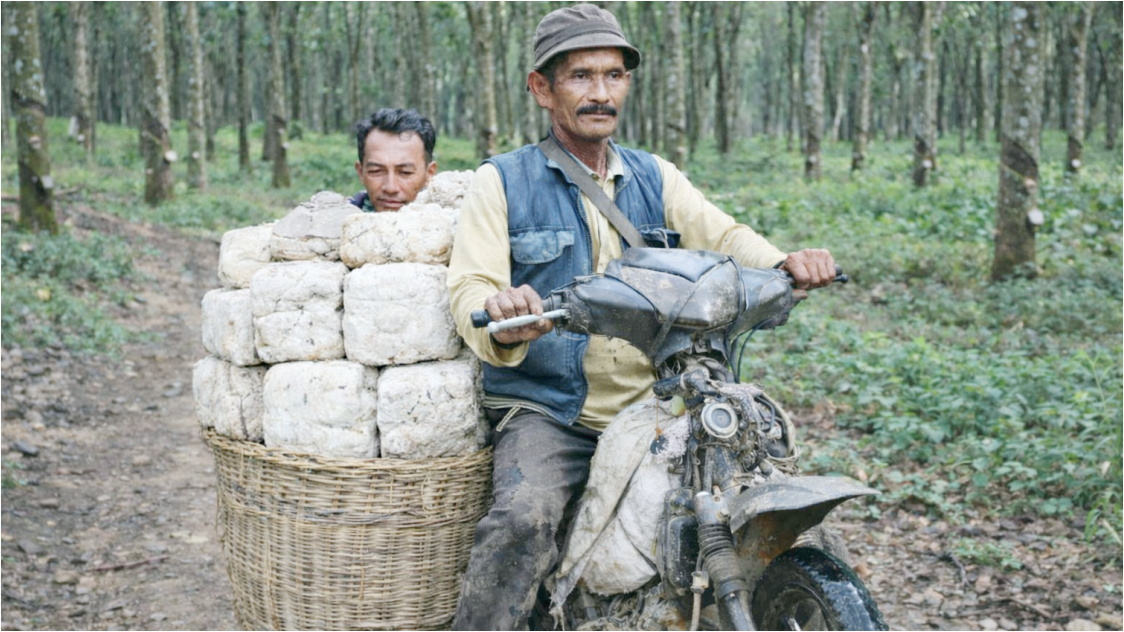 Harga Karet Global Berfluktuasi, SICOM-TSR20 Melemah di Tengah Pasar Volatil