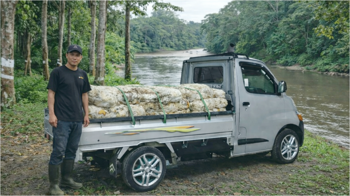 Tekanan Pasokan Global Meningkat, Harga Karet Bergerak Fluktuatif di Tengah Gangguan Rantai Pasok