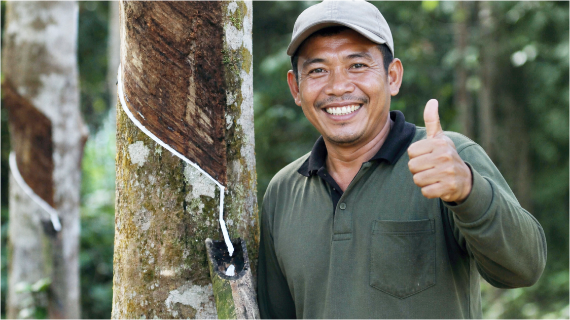 Rubber Prices Begin Consolidating Amid Weather and Global Geopolitical Concerns