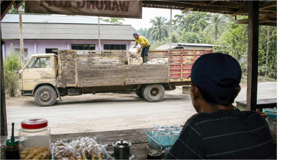 Harga Karet Bergerak Sideways, Rebound Tipis Muncul di Sesi Pagi, Pasar Menunggu Arah Baru dari Fundamental Global dan Cuaca Produsen Utama
