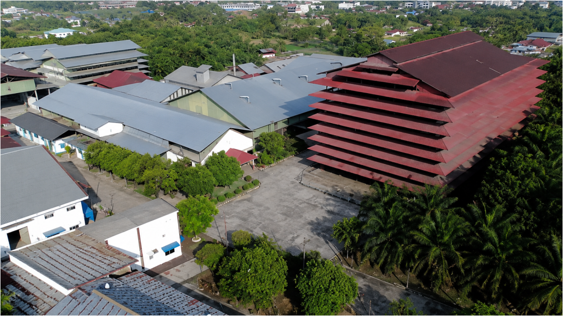 Harga Karet Berpeluang Bangkit, Rebound Awal Muncul di Bursa Asia Meski Tekanan Fundamental Belum Sepenuhnya Reda