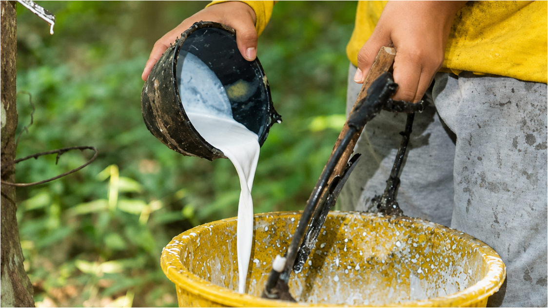 Global Rubber Industry Enters a New Phase as Supply Shrinks and Downstream Markets Gain Importance
