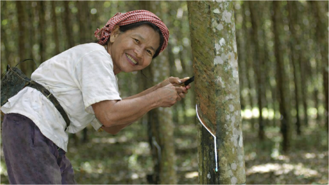 Produksi Naik Tipis 2025, Risiko Krisis Pasokan Karet Mengintai 2026