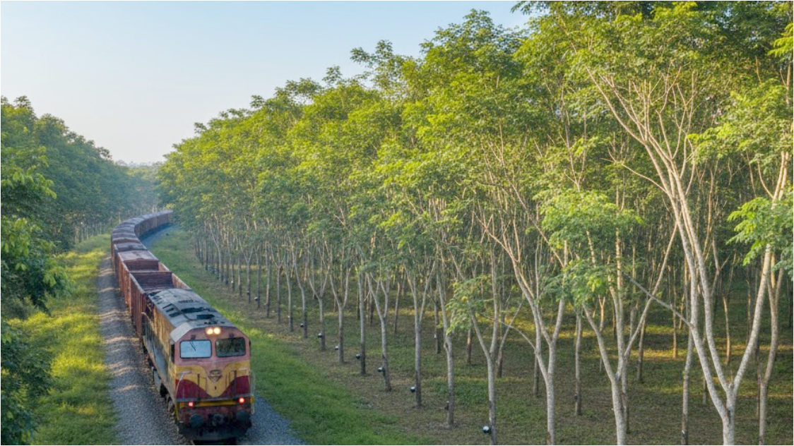 Harga Karet Global Bergerak Campuran, SIR20 Berpotensi Stabil