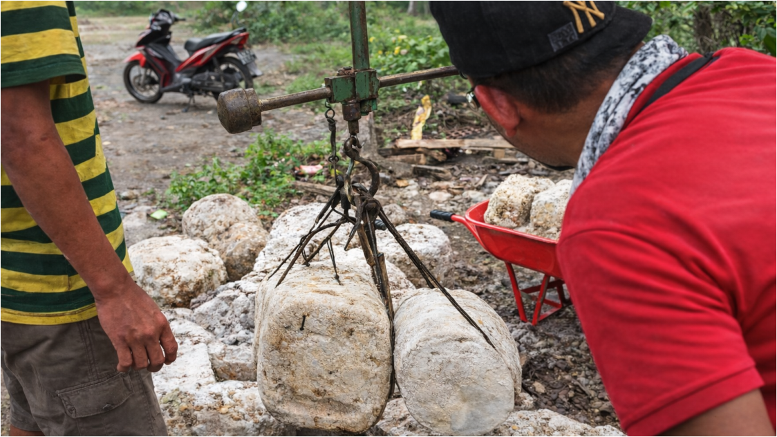 Futures Karet Alam Terkoreksi, SICOM-TSR20 Mei Bertahan di Atas 200 Sen