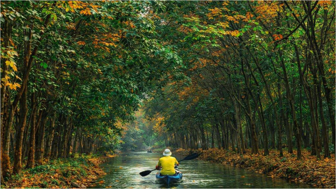 Pasar Karet Global Bergerak Variatif, Sentimen Minyak dan Pasokan Musiman Pengaruhi Harga